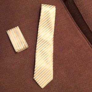 Vittorio Vico, light green and gold tie set